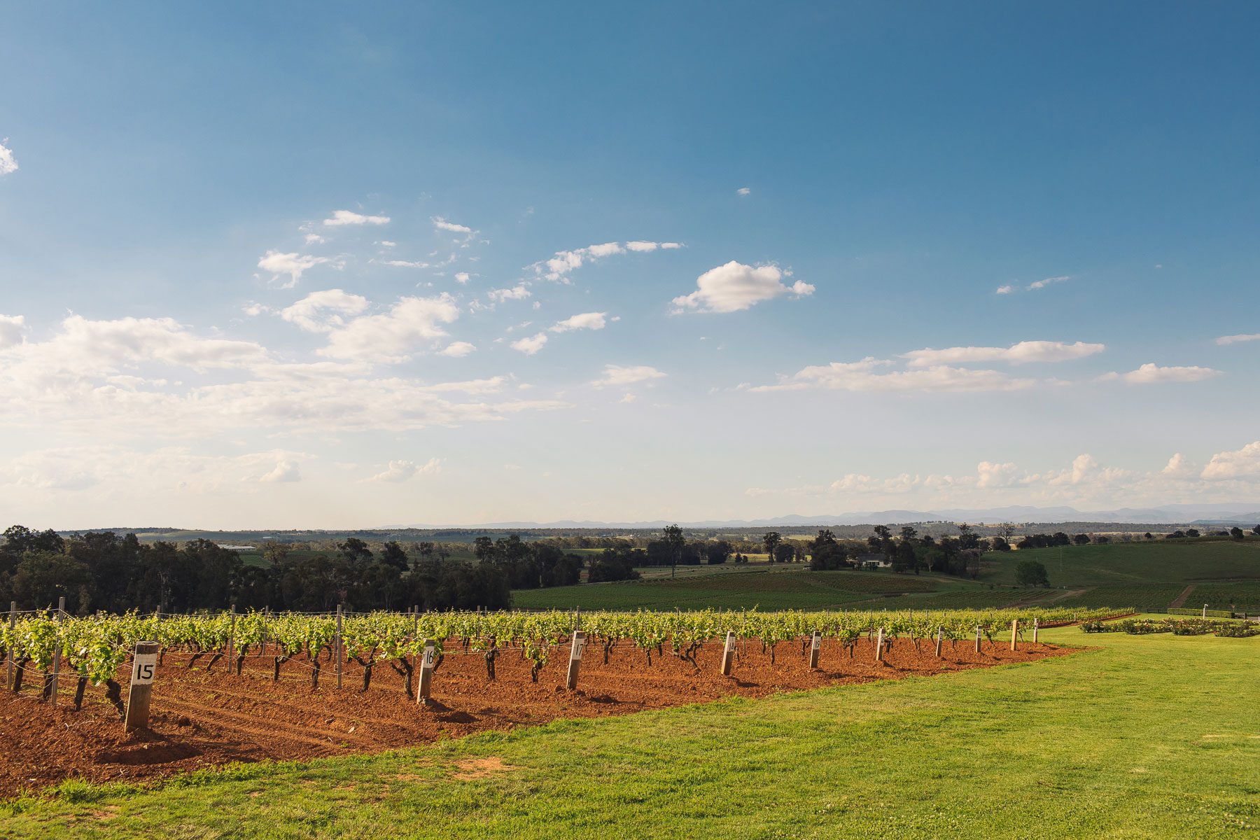 4 Acres Vineyard 4 Acres Vineyard