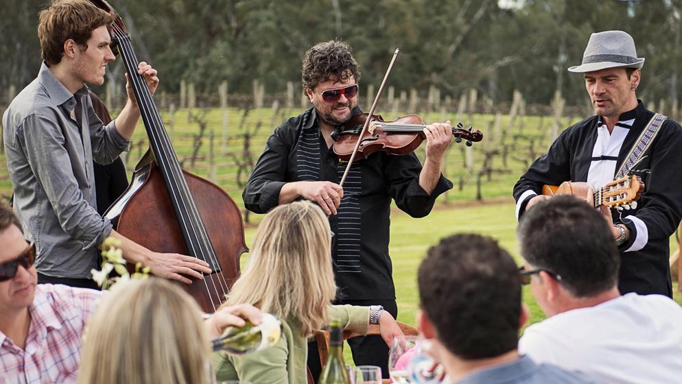 St Leonards Vineyard