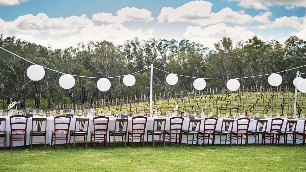 St Leonards Vineyard