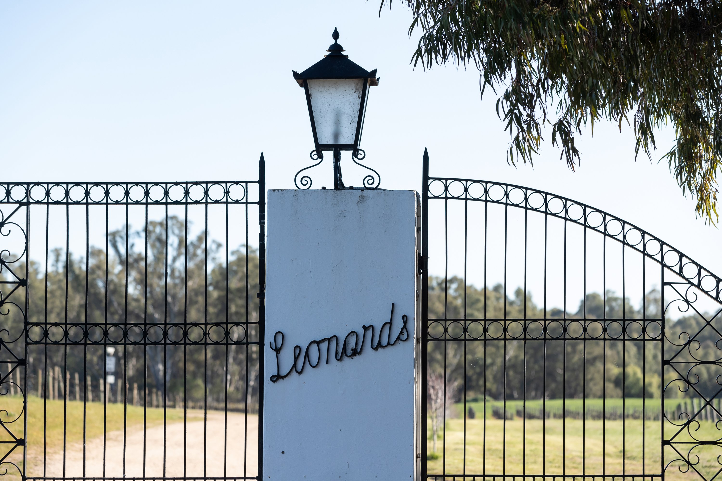 St Leonards Vineyard