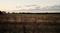 MOUNT OPHIR ESTATE VINEYARD MOUNT OPHIR ESTATE VINEYARD