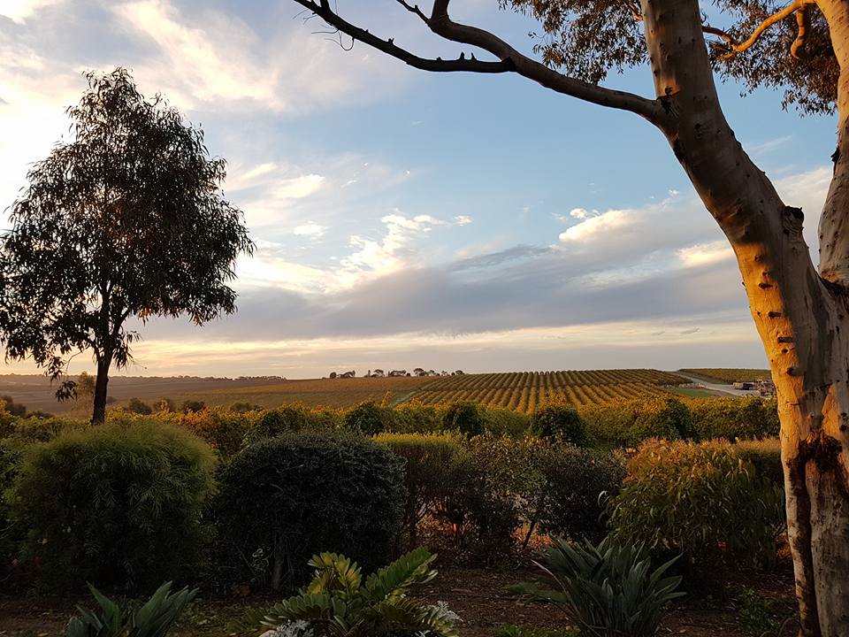 Beach Road Winery & Restaurant