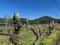 Start Now Your Wine Journey  With Us