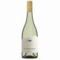 2026 Sauvignon Blanc