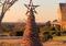 Purchase your very own Vine Tree