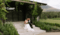 Weddings Weddings