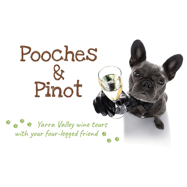 Pooches & Pinot