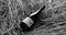 Explore Our Wines