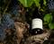 Become a Camino Wine Club Member Become a Camino Wine Club Member