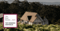 Castelli_Estate_Top_Winery_The_Real_Review_2024