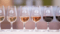 Glasses of wine for WSET wine training 
