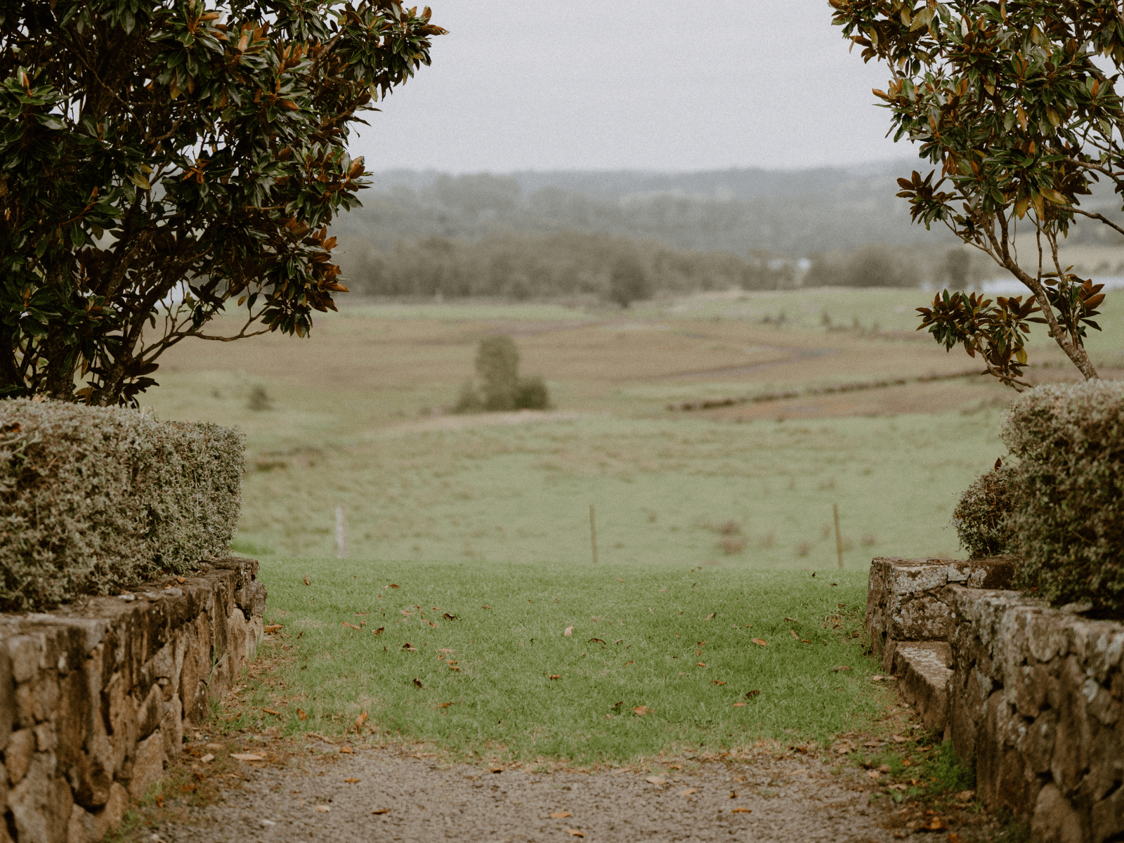 Cupitt's Estate