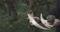 Biodynamics - new approach needed?