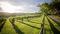 Where the Mornington Peninsula story began