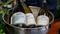 Wines shaped by place