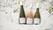 Pinot Gris
