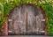 Hanging Tree Wines