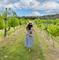 Lauded by Wine Critics Worldwide