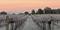 Winter Newsletter Specials