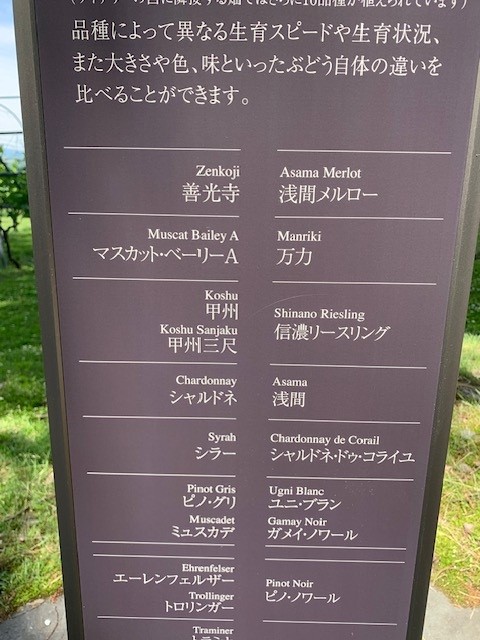 JP photo 4