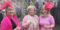 Paint The Vineyard Pink