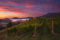 Book your farm stay now. Book your farm stay now.