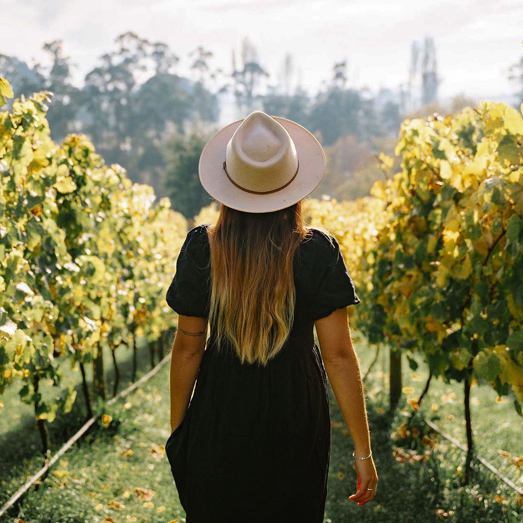 Meander Valley Tasmanian Vineyard