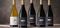 Our Wines