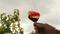 Wines