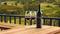 Explore Our Wines