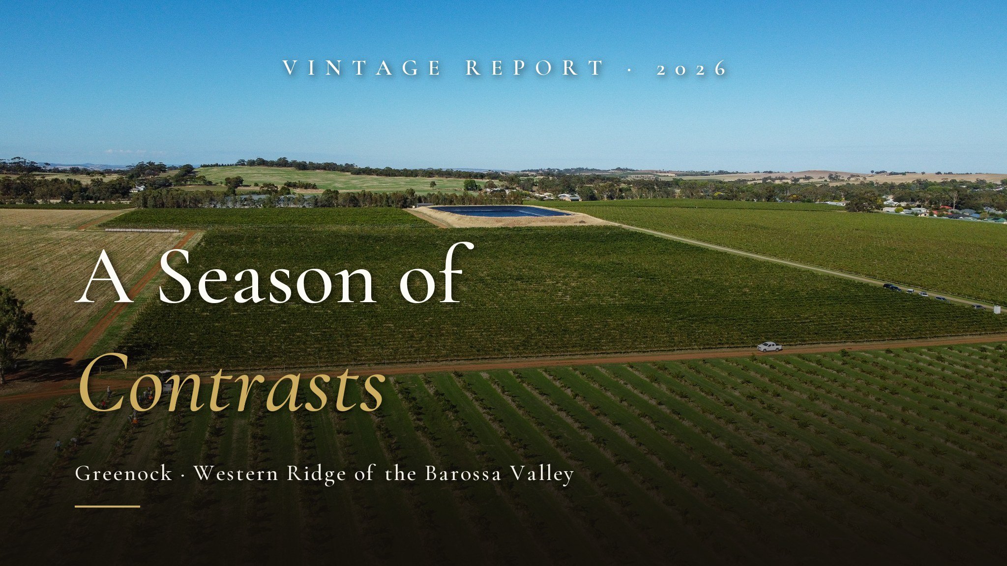 Vintage 2026: A Season of Contrasts. Murray Street Vineyards, Greenock, Western Ridge of the Barossa Valley.