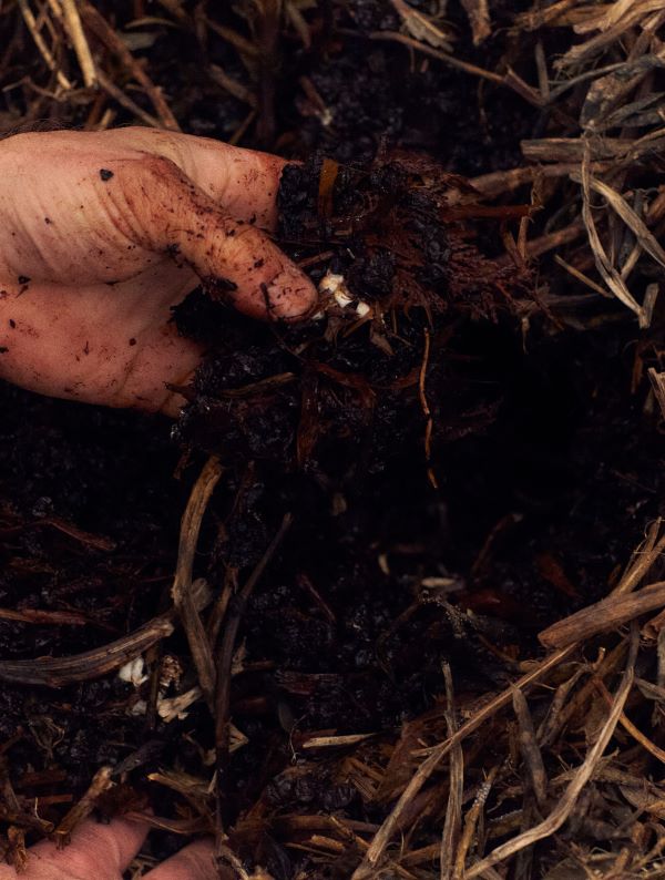 Oraterra Compost Oraterra Compost