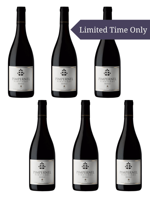 Six bottles of shiraz 2018 with limited time only banner