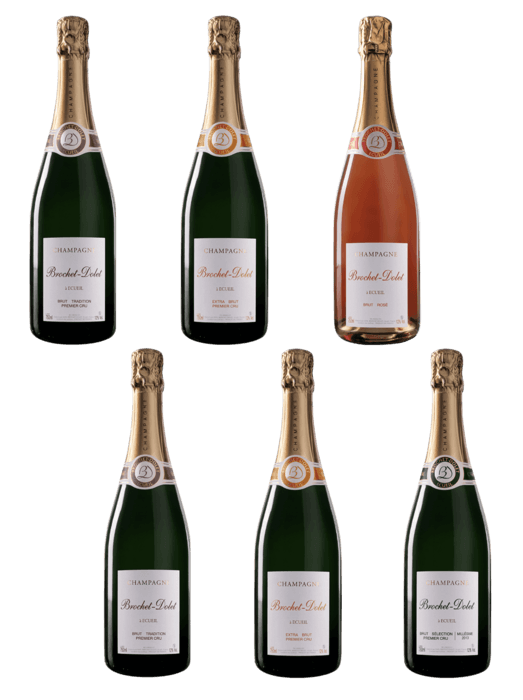 Champagne-new-sample-horizontal