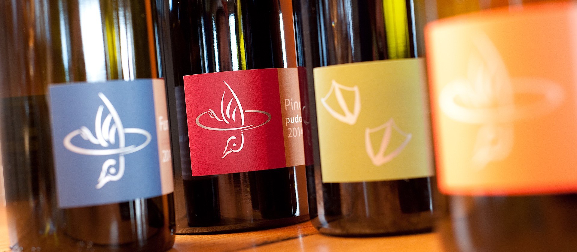 Shop our wines Shop our wines