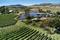Wine Tastings