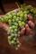 What Makes Alternative Grape Varieties Special