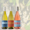 Vintage Dozen A Bottle of Fiano, Vermentino and Colour of Calmness