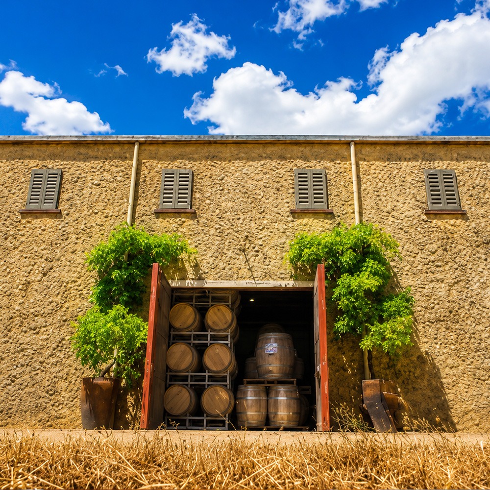 Wines