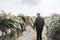 Weddings