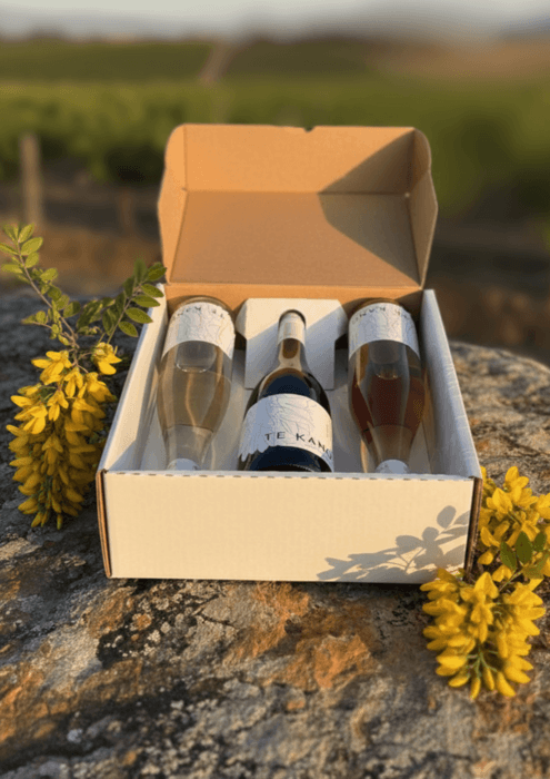 Elegant 3 bottle Pinot Noir gift pack featuring Blanc de Noir, Rosé, and Pinot Noir in a premium wine gift box