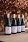 Tyrrell’s Wines Featured In The 2023 Halliday Wine Companion