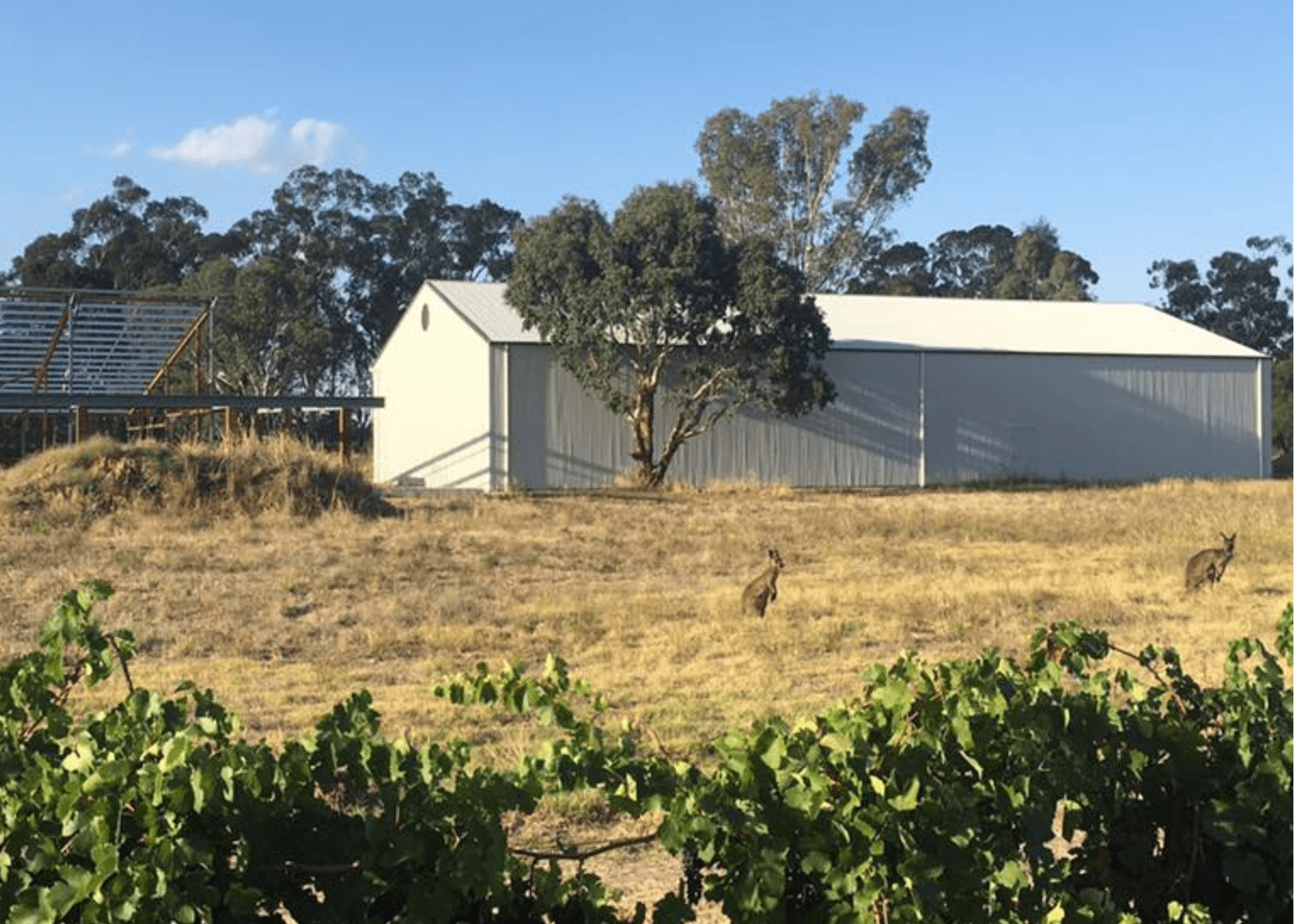 Ubertas Wines
