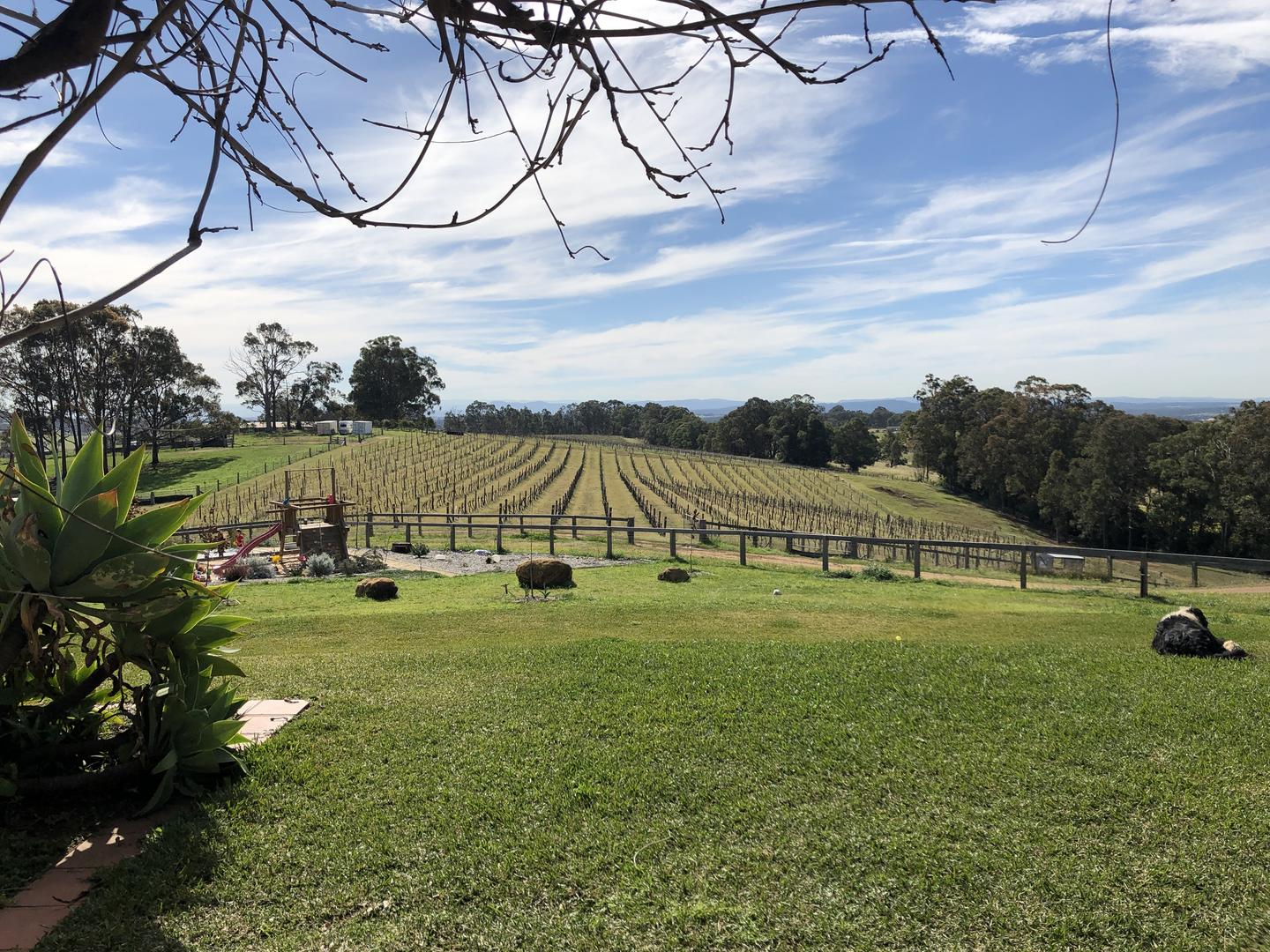 The view over Elbourne’s vineyard, from its UNOVINO producer page