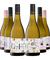 Georges Folly White Wine Wonder Unovino Special