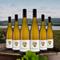 Estate Pinot Gris 2023 6 Pack available at Unovino